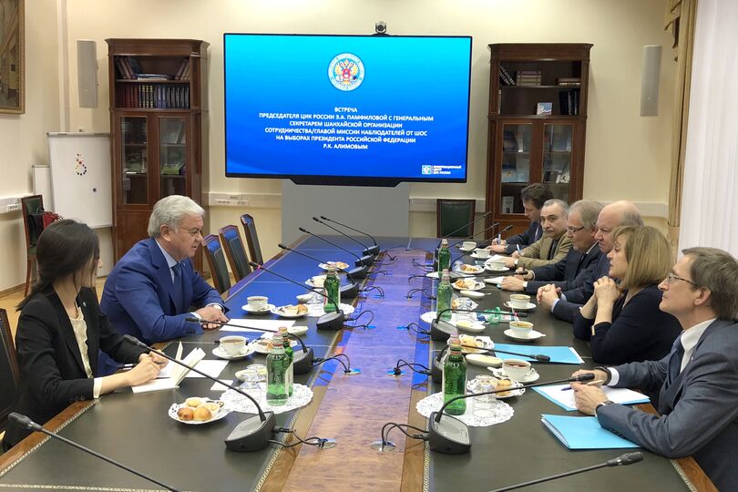 Встреча с Председателем Центральной избирательной комиссии Российской Федерации Э.А.Памфиловой