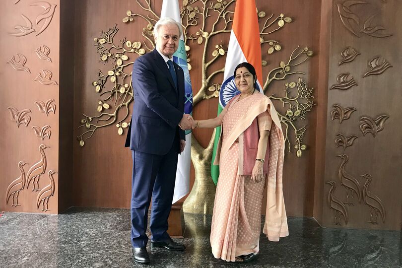 Встреча Генерального секретаря ШОС Р.Алимова с Министром иностранных дел Индии Сушмой Сварадж