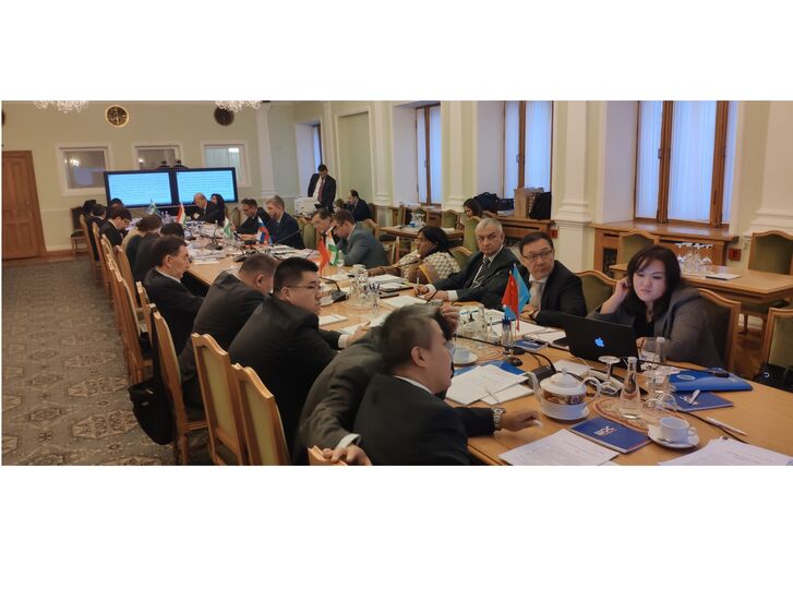 В Москве состоялось первое в 2020 году заседание  Совета национальных координаторов государств-членов ШОС