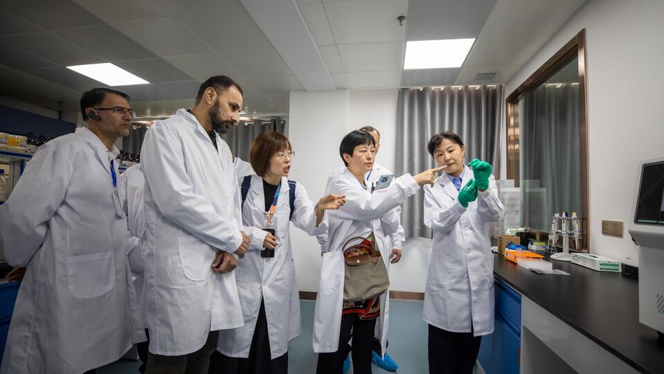 The international anti-drug operation "Web"