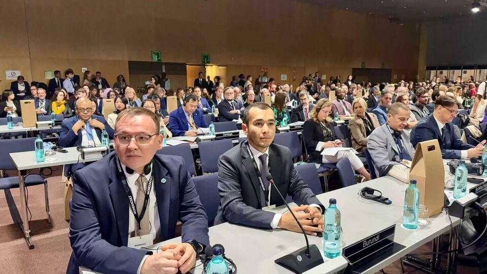 World Conference on Cultural Policies and Sustainable Development - MONDIACULT2025