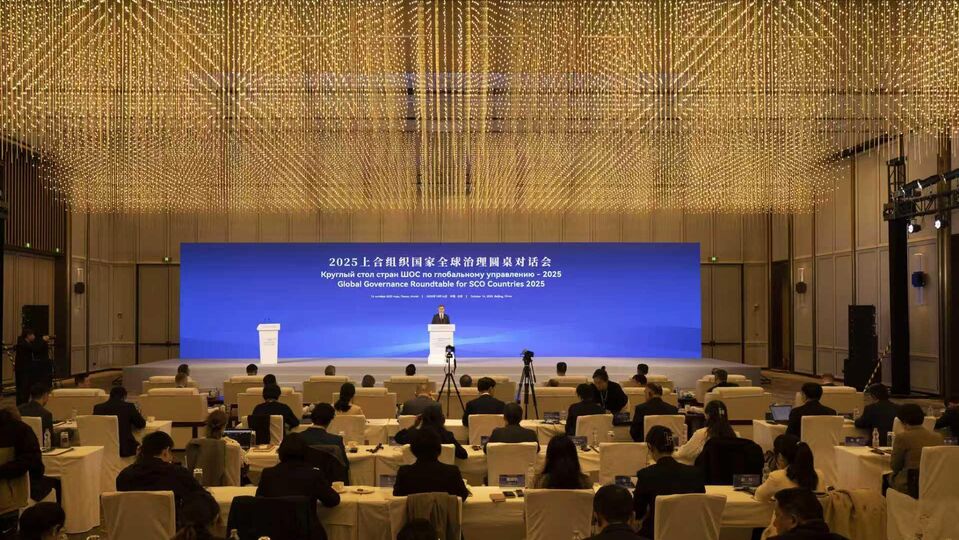 Secretary General Participated in Roundtable on Global Governance