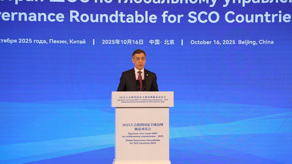 Secretary General Participated in Roundtable on Global Governance