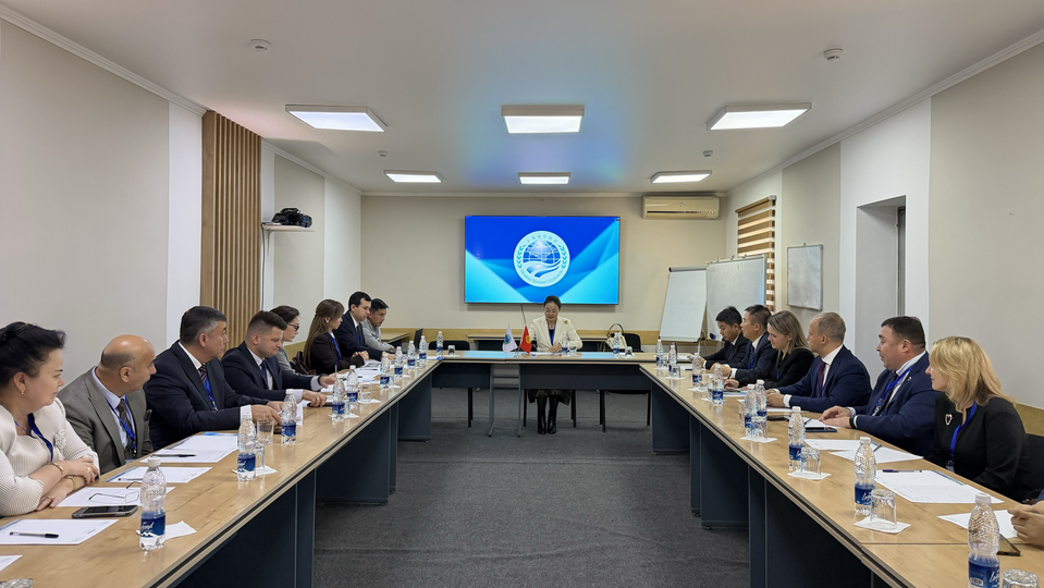 On the SCO Observer Mission work on the Elections in Kyrgyzstan