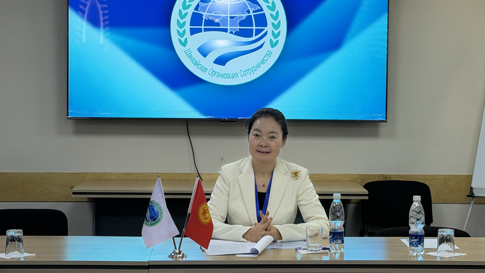 On the SCO Observer Mission work on the Elections in Kyrgyzstan