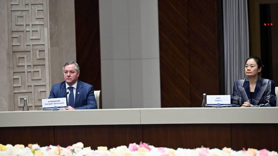 On the participation in the Meeting with the Kyrgyz President