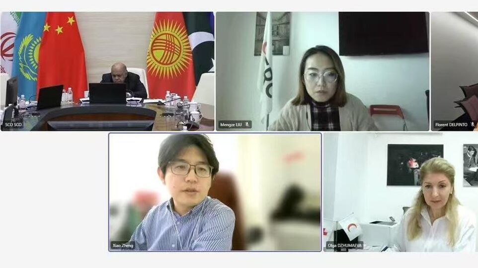 On Consultations with Representatives of the International Federation of Red Cross and Red Crescent Societies