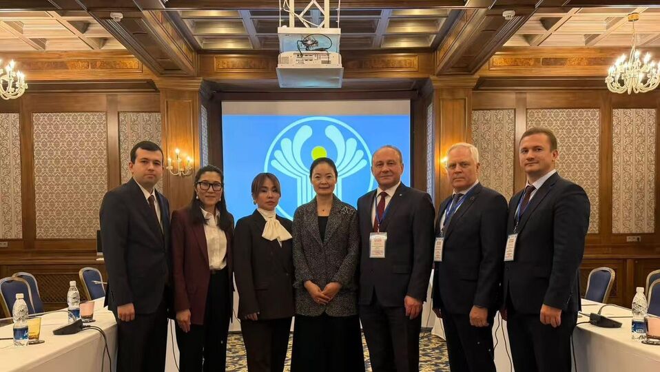 On the contacts with the CIS Observer Mission