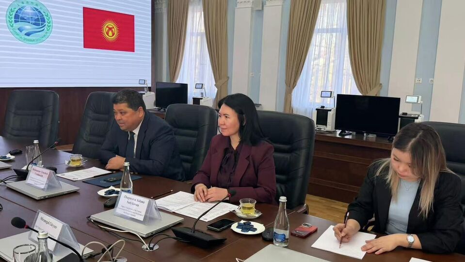 Meeting between the SCO Observer Mission Delegation and the Chairperson of the Central Commission for Elections and Referenda of the Kyrgyz Republic