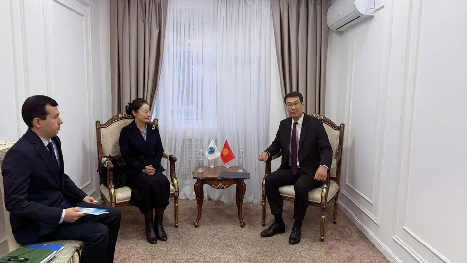 On the Meeting between the SCO Secretariat Delegation and the Deputy Minister of Foreign Affairs of the Kyrgyz Republic