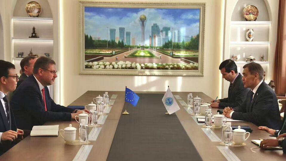 On the Meeting of the Secretary-General with the Special Representative of the European Union