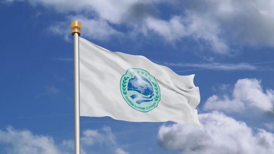 The SCO Flag