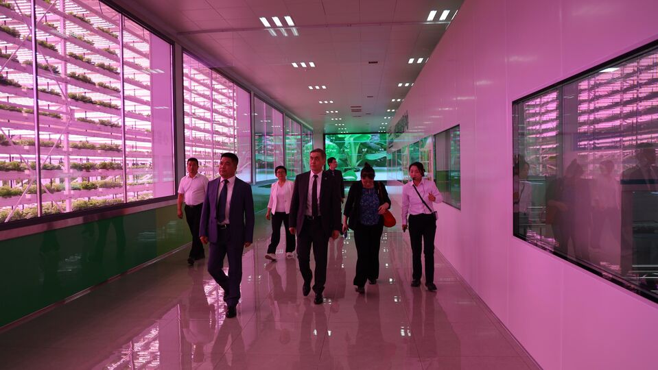SCO Secretary-General Nurlan Yermekbayev Visits the SCO Demonstration Base for Agricultural Technology Exchange and Training in Yangling