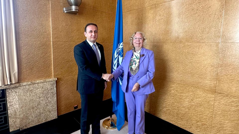 Meeting with the Director-General of the United Nations in Geneva