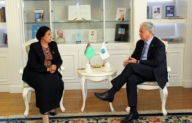 Встреча Генерального секретаря ШОС с Чрезвычайным и Полномочным Послом Туркменистана в КНР