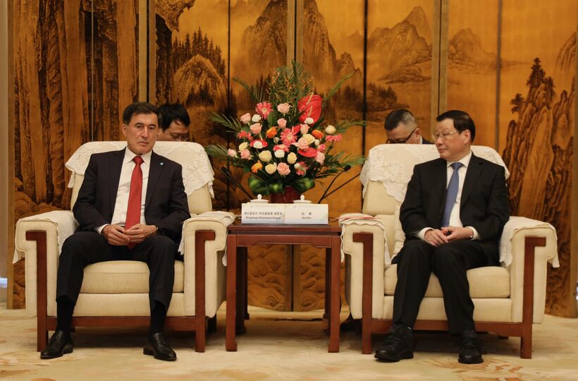 Генеральный секретарь ШОС встретился  с партийным руководством провинции Хубэй 