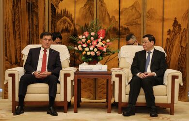 Генеральный секретарь ШОС встретился  с партийным руководством провинции Хубэй 