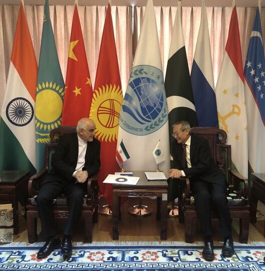 上海合作组织秘书长会见伊朗驻华大使